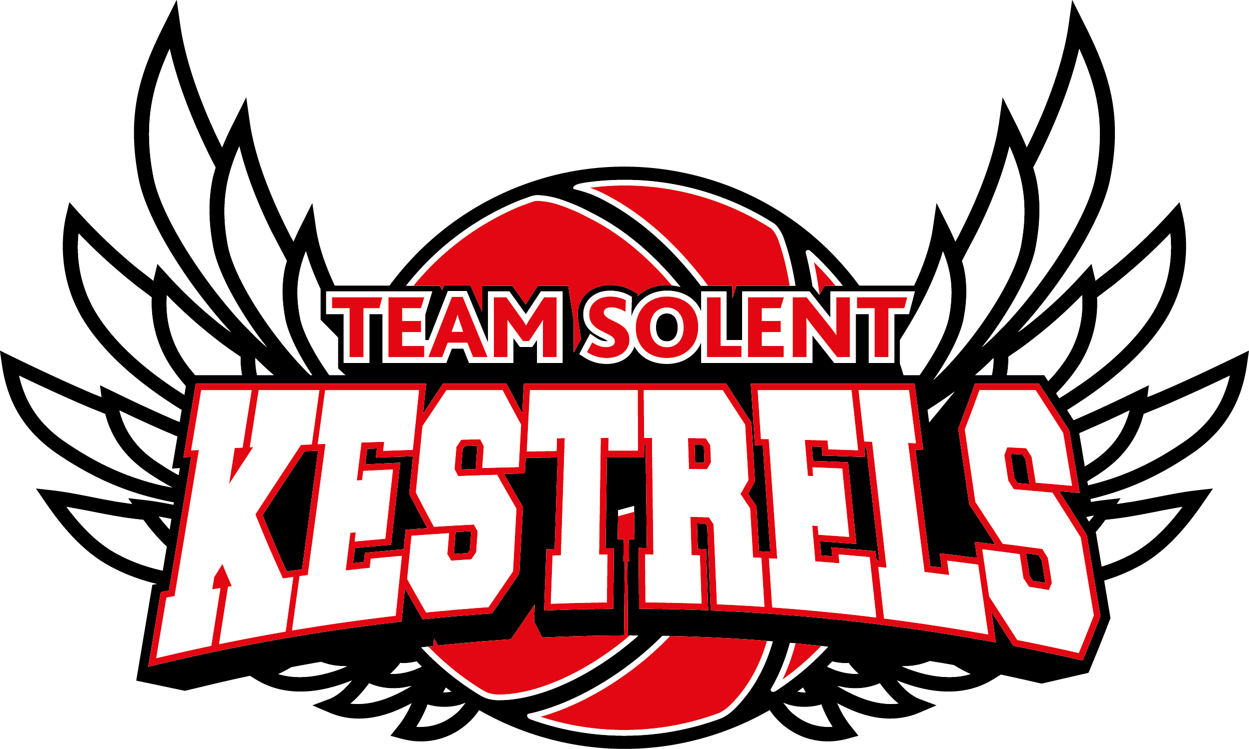 Team Solent Kestrels logo