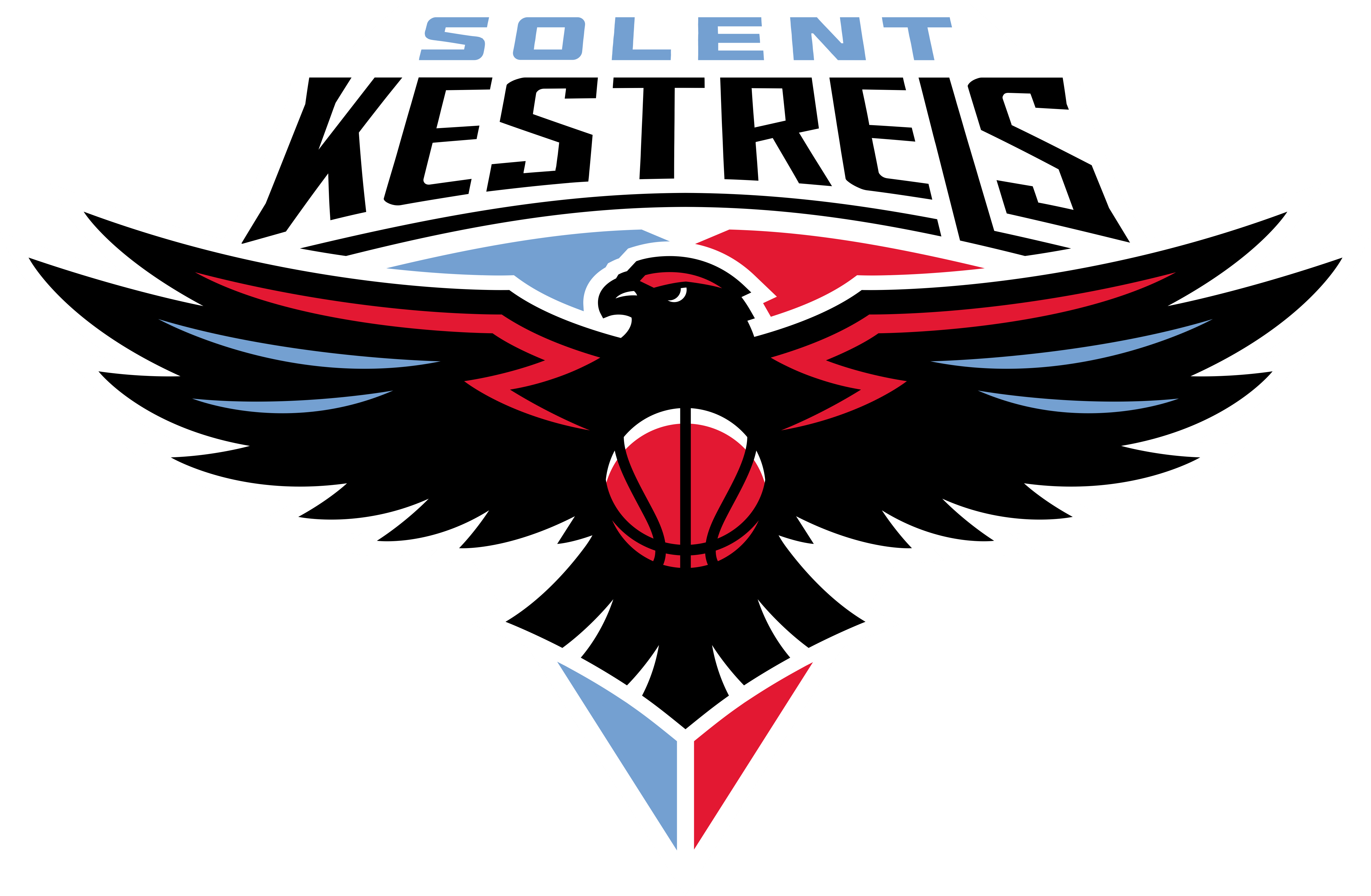 Team Solent Kestrels logo